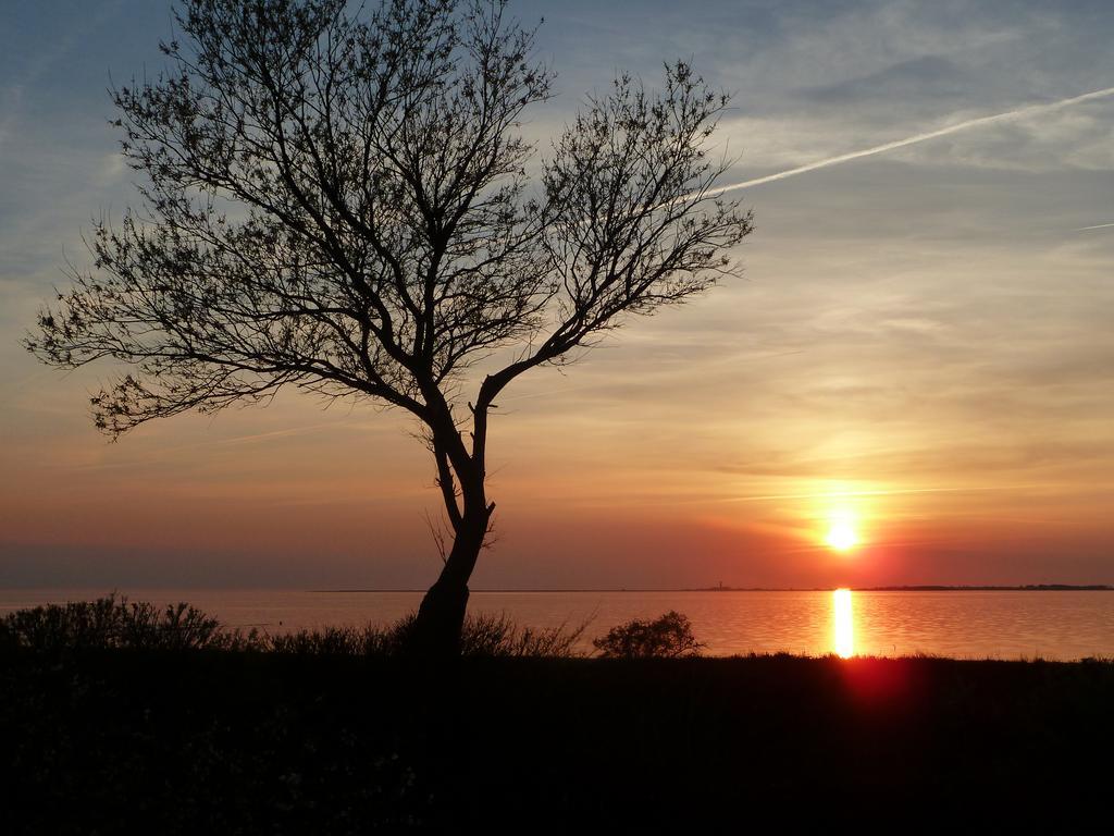 Haus Achtern Diek In Erster Reihe Am Meer Fehmarn Extérieur photo